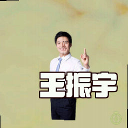 王振宇